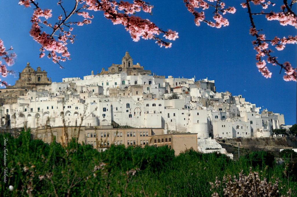 Albachiara Bed & Breakfast Monopoli Exterior foto